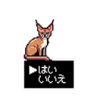 やせい！ドットカラカル（個別スタンプ：38）