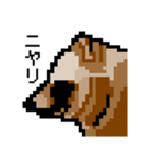 ドットのたぬき3（個別スタンプ：2）