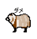 ドットのたぬき3（個別スタンプ：8）