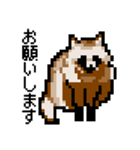 ドットのたぬき3（個別スタンプ：9）