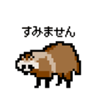 ドットのたぬき3（個別スタンプ：11）