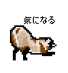 ドットのたぬき3（個別スタンプ：14）