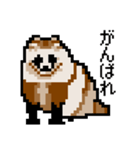 ドットのたぬき3（個別スタンプ：15）