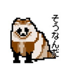 ドットのたぬき3（個別スタンプ：16）