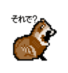 ドットのたぬき3（個別スタンプ：21）