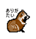ドットのたぬき3（個別スタンプ：22）