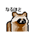 ドットのたぬき3（個別スタンプ：29）