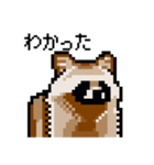 ドットのたぬき3（個別スタンプ：30）