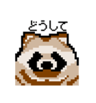 ドットのたぬき3（個別スタンプ：31）