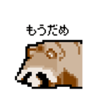 ドットのたぬき3（個別スタンプ：35）