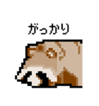 ドットのたぬき3（個別スタンプ：36）