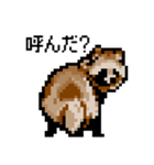 ドットのたぬき3（個別スタンプ：38）