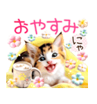 にゃ！1年中❤️猫語の三毛猫こねこちゃん❤️（個別スタンプ：6）