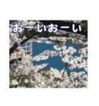 ダム好きのスタンプ（個別スタンプ：23）