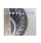 ダム好きのスタンプ（個別スタンプ：32）