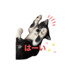 うみくんvol.1（個別スタンプ：1）