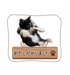 うみくんvol.1（個別スタンプ：3）