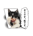 うみくんvol.1（個別スタンプ：8）