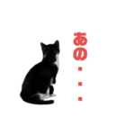 うみくんvol.1（個別スタンプ：13）