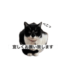うみくんvol.1（個別スタンプ：22）
