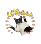 うみくんvol.1（個別スタンプ：23）