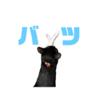 うみくんvol.1（個別スタンプ：26）