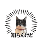 うみくんvol.1（個別スタンプ：29）