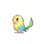 動く インコ（個別スタンプ：5）