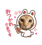 保護猫(よしむね)（個別スタンプ：17）
