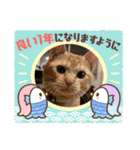 保護猫(よしむね)（個別スタンプ：18）