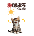 BIGスタンプ ミヌエットの子猫スタンプ（個別スタンプ：1）