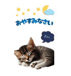 BIGスタンプ ミヌエットの子猫スタンプ（個別スタンプ：2）