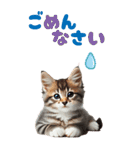 BIGスタンプ ミヌエットの子猫スタンプ（個別スタンプ：4）