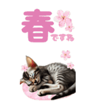 BIGスタンプ ミヌエットの子猫スタンプ（個別スタンプ：11）