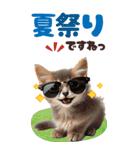 BIGスタンプ ミヌエットの子猫スタンプ（個別スタンプ：15）