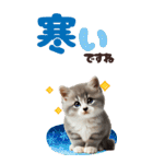 BIGスタンプ ミヌエットの子猫スタンプ（個別スタンプ：19）