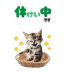 BIGスタンプ ミヌエットの子猫スタンプ（個別スタンプ：21）