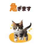 BIGスタンプ ミヌエットの子猫スタンプ（個別スタンプ：26）