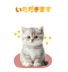 BIGスタンプ ミヌエットの子猫スタンプ（個別スタンプ：34）