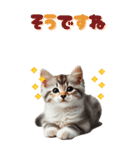 BIGスタンプ ミヌエットの子猫スタンプ（個別スタンプ：35）