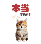BIGスタンプ ミヌエットの子猫スタンプ（個別スタンプ：37）