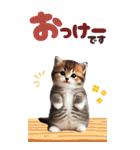 BIGスタンプ ミヌエットの子猫スタンプ（個別スタンプ：38）