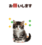 BIGスタンプ ミヌエットの子猫スタンプ（個別スタンプ：40）