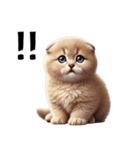 【ずっと使える】毎日スコティッシュ（個別スタンプ：14）
