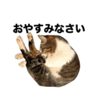 マダムえびとときどき犬（個別スタンプ：26）