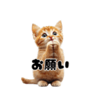 子猫の日常使いしやすいスタンプ（個別スタンプ：17）