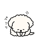 ふわふわ犬もこ太の毎日使えるスタンプ（個別スタンプ：4）