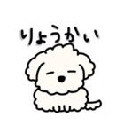 ふわふわ犬もこ太の毎日使えるスタンプ（個別スタンプ：5）