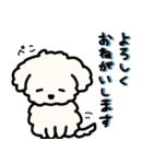 ふわふわ犬もこ太の毎日使えるスタンプ（個別スタンプ：8）