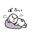 ふわふわ犬もこ太の毎日使えるスタンプ（個別スタンプ：12）